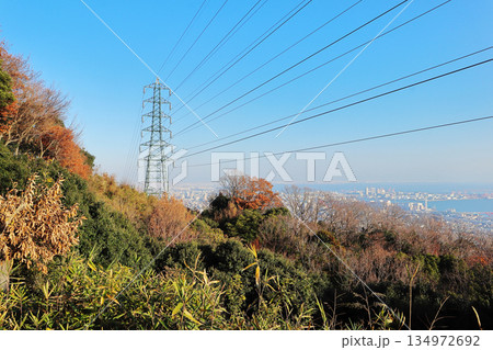 山と鉄塔と海辺の街 134972692