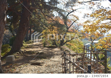 秋の木立に囲まれた静かな遊歩道と自然の風景 134972854