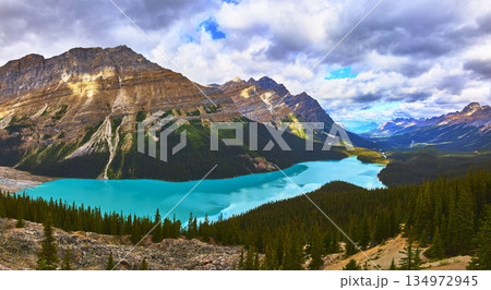 Panorama Peyto Lake Turquoise Water and Mountain Peaks with Evergreen Forest 134972945
