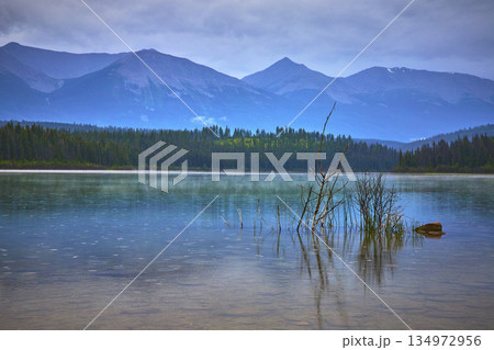 Mountain Lake Reflections Tranquil Water and Forest with Distant Peaks 134972956