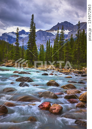 Rushing River with Colorful Rocks Pine Forest and Snow Capped Mountains Rushing River with Colorful Rocks Pine Forest and Snow Capped Mountains 134972963