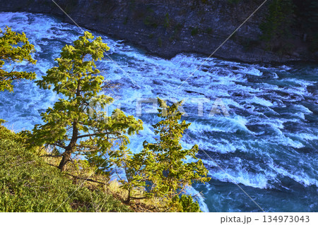 Rapids and Evergreen Trees Overlooking Vibrant River in Banff Canada from High Viewpoint Rapids and Evergreen Trees Overlooking Vibrant River in Banff Canada from High Viewpoint 134973043
