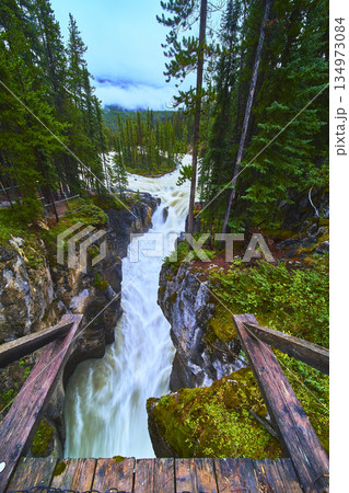 Sunwapta Falls Powerful Waterfall Rushing Through Forest Canyon With Wooden Bridge 134973084