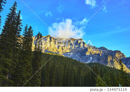 Sunrise Golden Hour Mountain Peak and Pine Forest Under Blue Sky Sunrise Golden Hour Mountain Peak and Pine Forest Under Blue Sky 134973119