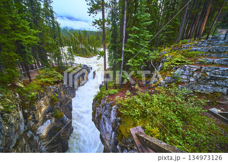 Sunwapta Falls Rushing Waterfall and Lush Forest in Jasper National Park 134973126