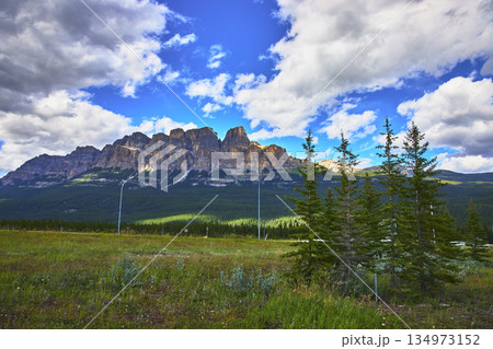 Castle Mountain Banff Majestic Mountain Landscape with Pine Trees and Meadow 134973152