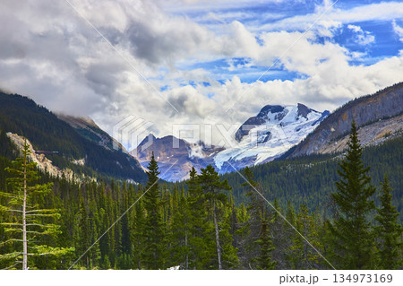 Glacier and Mountain Peaks with Evergreen Forest Under Dramatic Sky in Wilderness 134973169