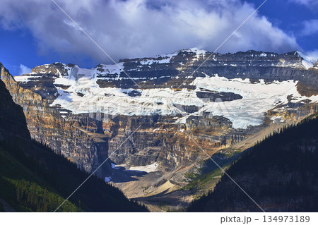 Glacier Covered Mountain Peaks with Deep Valley and Forest in Canadian Rockies 134973189