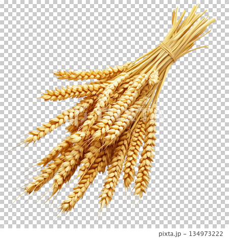 Wheat Sheaves Tied Together in a Rustic Bundle, Harvested at Golden Hour in the Countryside Wheat Sheaves Tied Together in a Rustic Bundle, Harvested at Golden Hour in the Countryside 134973222