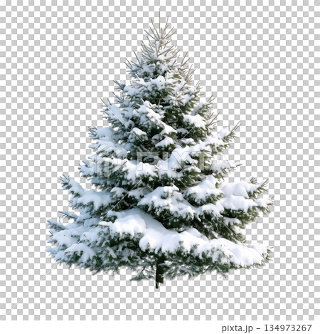 Snow-covered Evergreen Tree Stands Tall in Winter Scenery, Showcasing Natures Beauty in Cold Season 134973267