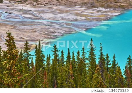 Peyto Lake Turquoise Water and Evergreen Forest Edge with Rocky Shoreline Peyto Lake Turquoise Water and Evergreen Forest Edge with Rocky Shoreline 134973589