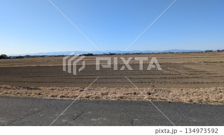 畑と雄大な山々 畑と雄大な山々 134973592