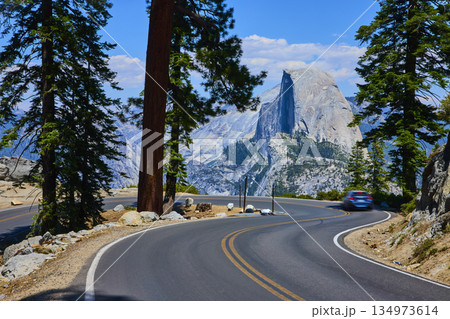 Winding Mountain Road with Pine Trees and Half Dome in Summer Yosemite National Park 134973614