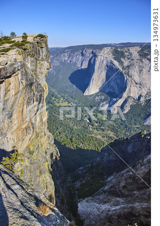 Taft Point Cliff Edge with El Capitan and Forested Yosemite Valley View Taft Point Cliff Edge with El Capitan and Forested Yosemite Valley View 134973631