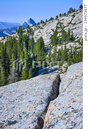 Granite Slopes Pine Forest and Half Dome from Olmsted Point Yosemite National Park 134973677