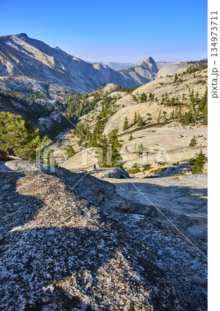 Yosemite Olmsted Point Granite Landscape with Half Dome and Pine Trees Yosemite Olmsted Point Granite Landscape with Half Dome and Pine Trees 134973711