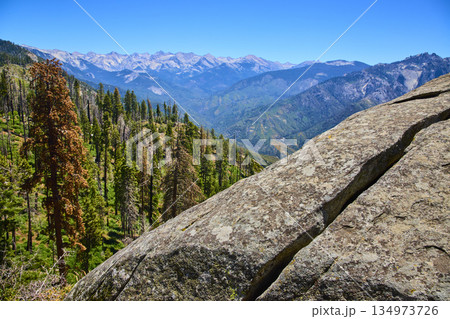 Moro Rock Granite Outcrop Sequoia Forest and Sierra Nevada Mountains California Moro Rock Granite Outcrop Sequoia Forest and Sierra Nevada Mountains California 134973726