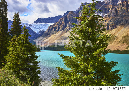Turquoise Lake Water Pine Trees and Rocky Mountain Peaks in Bright Sunlight 134973775