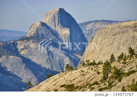 Half Dome Granite Formations and Pine Trees at Olmsted Point Yosemite National Park 134973787