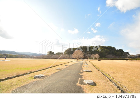 都府楼跡の風景 134973788