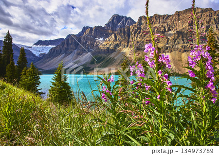Wildflowers and Turquoise Lake with Majestic Mountain Backdrop in Vibrant Summer Light 134973789