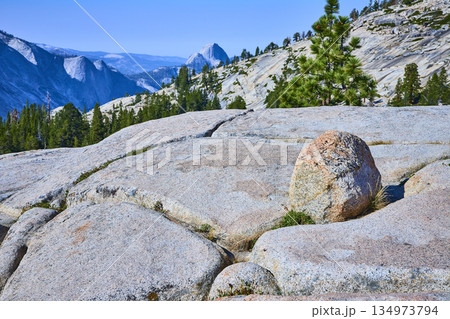Granite Boulder Pine Trees and Half Dome at Olmsted Point Yosemite National Park 134973794