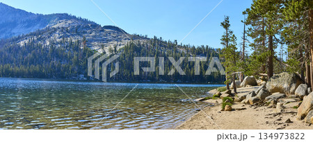 Panoramic Tenaya Lake Shoreline Pines and Granite Mountain in Yosemite National Park 134973822