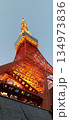 東京タワー45°Light Up 134973836