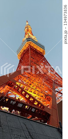東京タワー45°Light Up 134973836