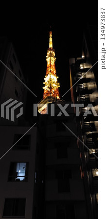 ビル間から東京タワー 134973837