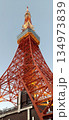 昼間の東京タワー斜めから 134973839