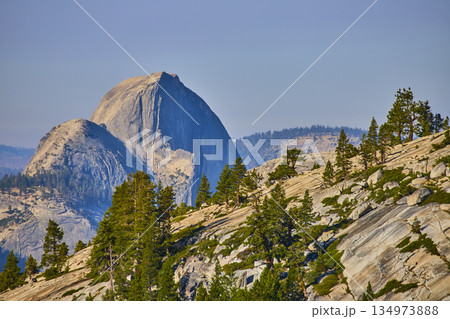 Half Dome Granite Landscape and Pine Trees from Olmsted Point Yosemite 134973888