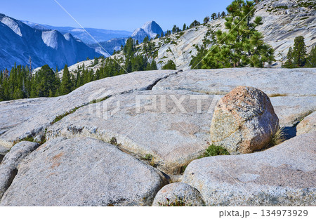 Granite Boulders Pine Trees and Iconic Half Dome View at Olmsted Point Yosemite 134973929