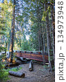 Wooden Footbridge Among Sequoia Trees and Creek in Sunlit Forest Trail 134973948