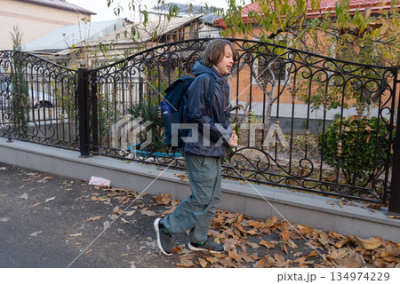 A young boy with a backpack walking to school in autumn. Student on a sidewalk with leaves 134974229