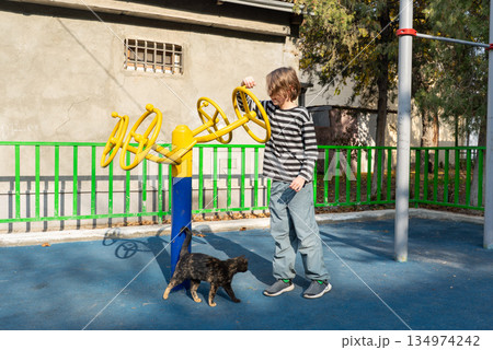Boy playing on outdoor fitness equipment at a playground. A tortoiseshell cat walks nearby Boy playing on outdoor fitness equipment at a playground. A tortoiseshell cat walks nearby 134974242