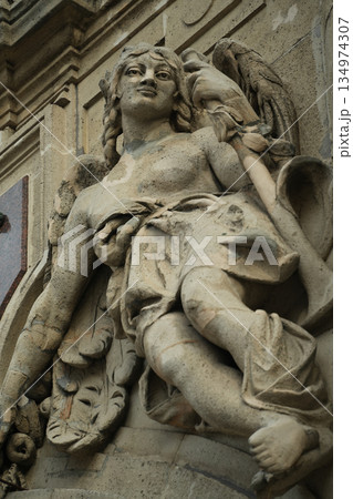 ハンガリー_ブダ城 134974307