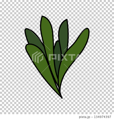 七草禦行 七草禦行 134974397