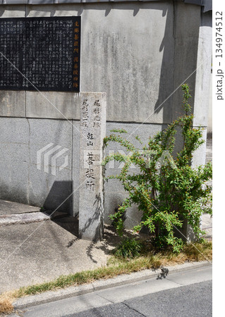 泉妙院(尾形光琳・尾形乾山 菩提所 興善院旧跡)京都府京都市上京区 泉妙院(尾形光琳・尾形乾山 菩提所 興善院旧跡)京都府京都市上京区 134974512