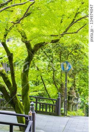 福岡南蔵院の風景 134974847