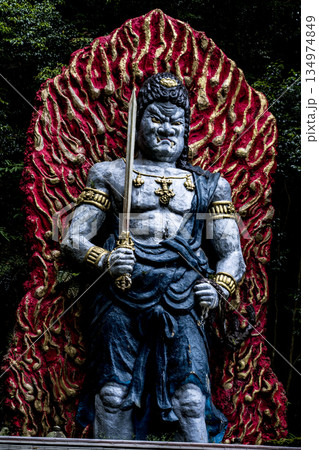 福岡南蔵院の風景 福岡南蔵院の風景 134974849