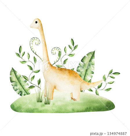 Cute dinosaur in tropical leaves. Watercolor hand drawn prehistoric diplodocus, Brachiosaurus animal. Isolated illustration on transparent background. Perfect for for nursery and baby shower, tropical 134974887