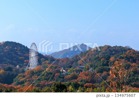 紅葉の山並みに囲まれた観覧車と遊園地の風景（愛知県犬山市） 134975607