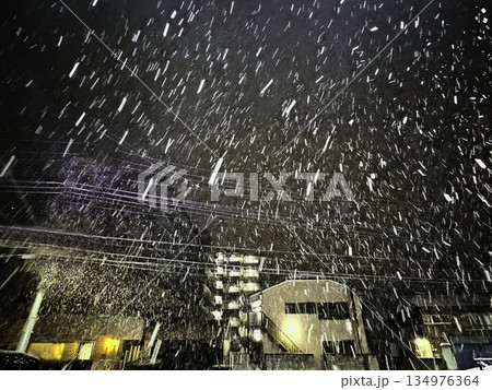 街灯に照らされた雪の華 134976364