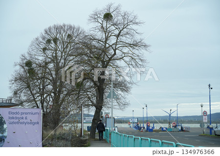 ハンガリー_バラトン湖 134976366