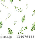 Branch with leaves. Watercolor seamless pattern, hand drawn pastel climbing green liana. Isolated botanical illustration on transparent background. Perfect for tropical design projects. For designers 134976433