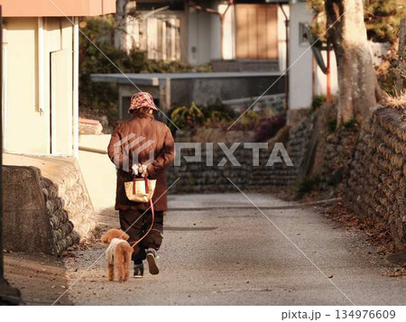 老人の散歩 老人の散歩 134976609