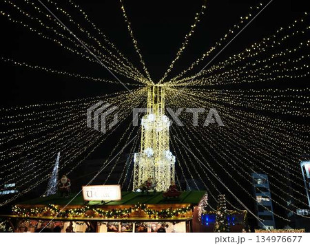高知中央公園 クリスマスマーケット 高知中央公園 クリスマスマーケット 134976677