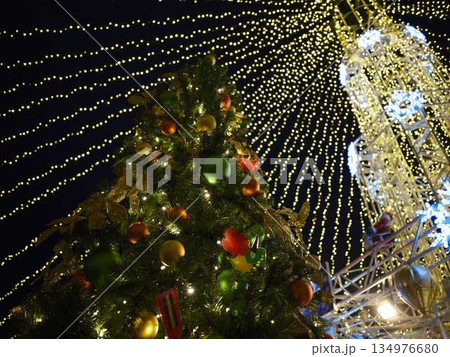 高知中央公園　クリスマスマーケット 134976680