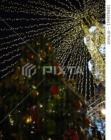 高知中央公園 クリスマスマーケット 高知中央公園 クリスマスマーケット 134976681